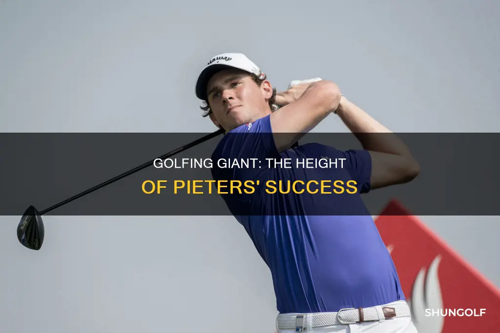 how tall pieters golfer