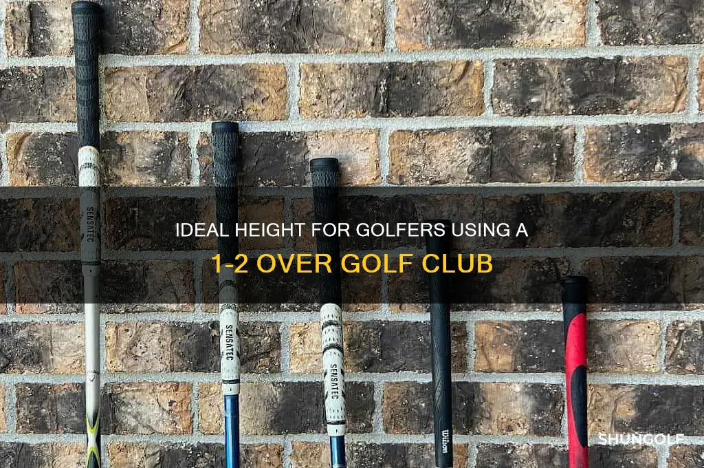 how tall player for 1 2 over golf club
