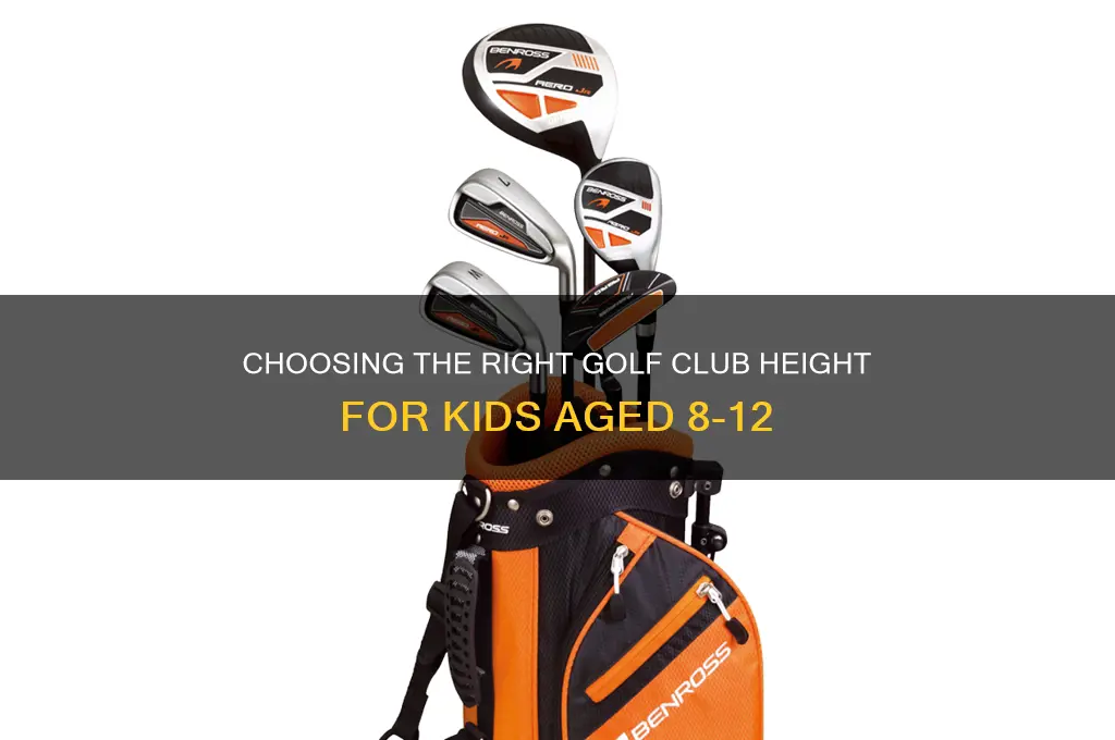 how tall should golf clubs be for kids