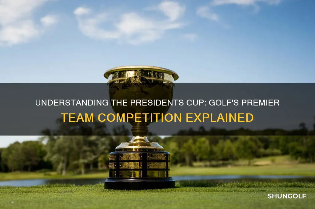 how tdoes the presidents cup work golf