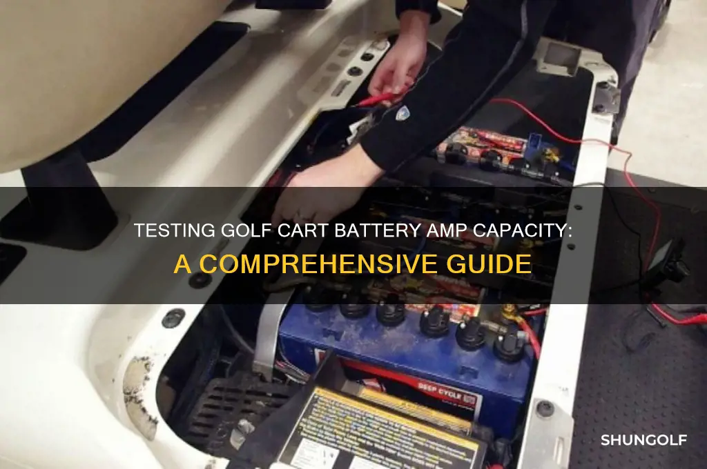 how test golf cart battery amp capacit