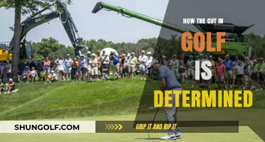 Understanding Golf's Cut: Rules, Scoring, and Tournament Determinants