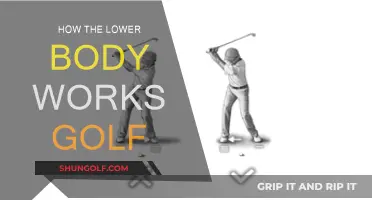 Golf Swing: Understanding the Lower Body Mechanics