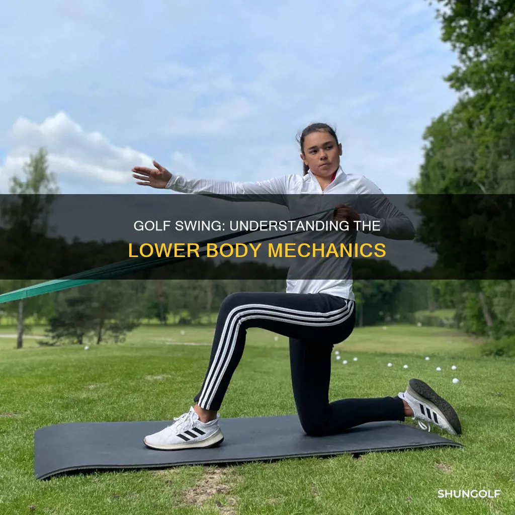 how the lower body works golf