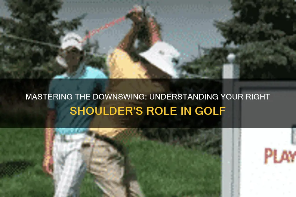 how the right shoulder works in the downswing in golf