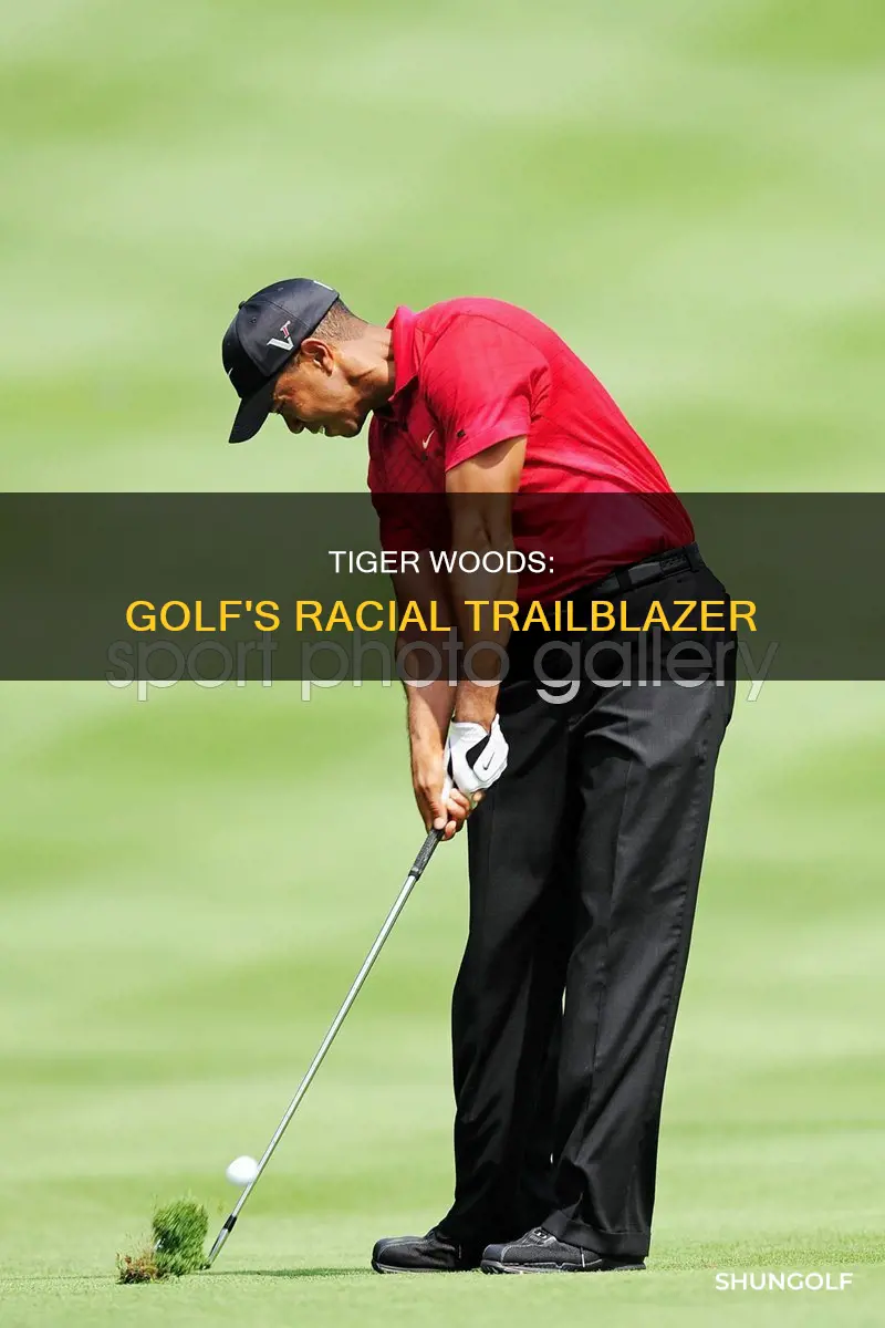 how tiger woods changed golf racially