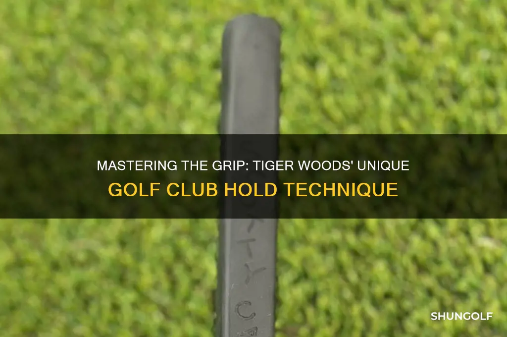 how tiger woods holds a golf club