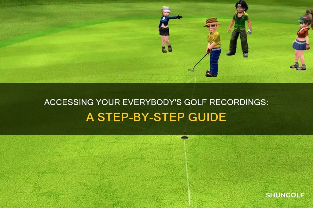 how to access my recordings in everybodys golf