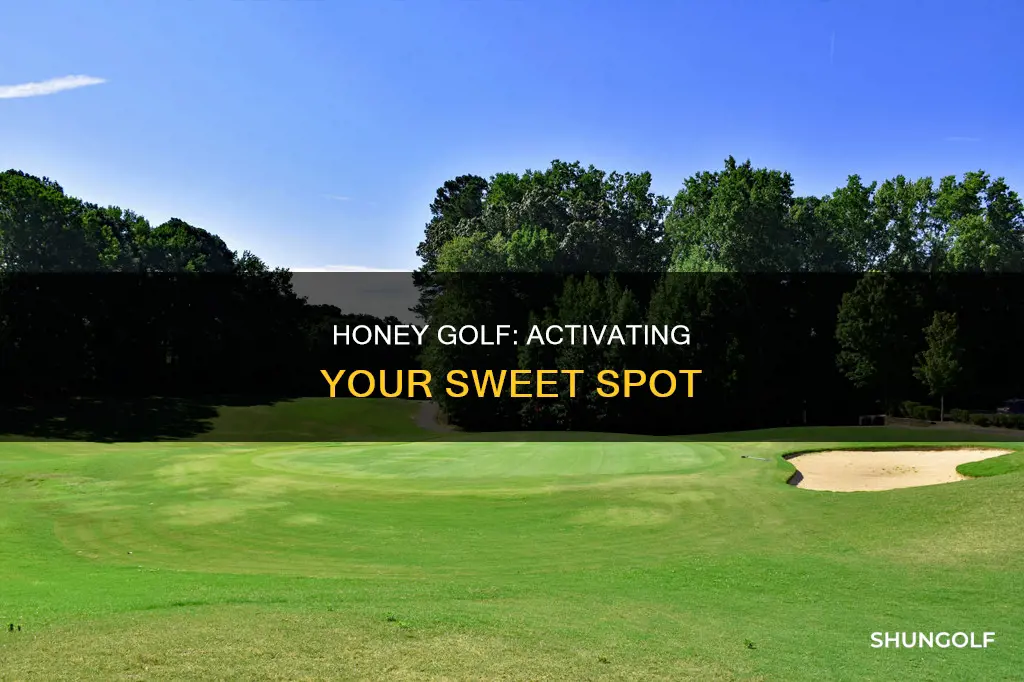 how to activate honey golf