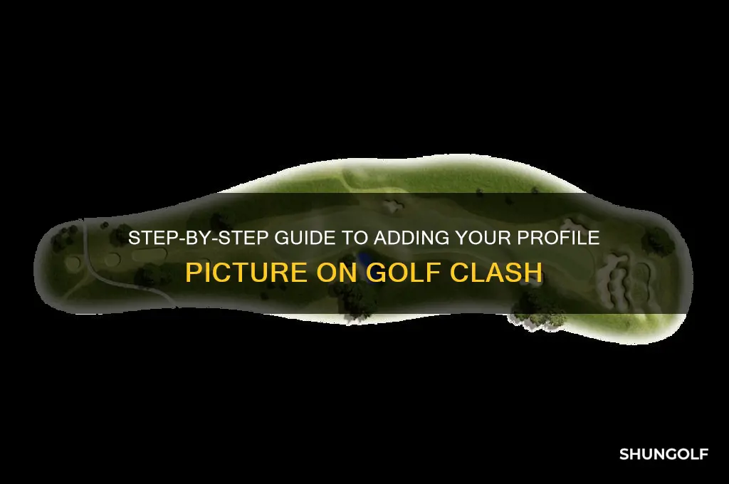 how to add profile picture on golf clash