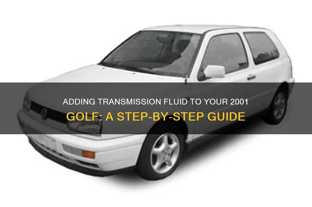 how to add transmission fluid to 2001 golf
