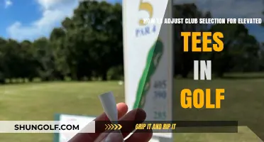 Mastering Elevated Tee Shots: Smart Club Selection Strategies for Golfers