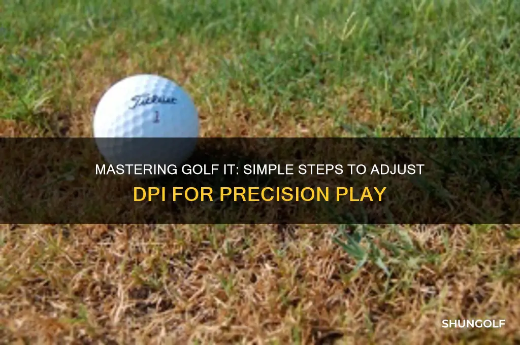 how to adjust dpi in golf it
