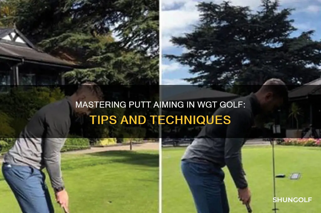 how to aim putts in wgt golf game