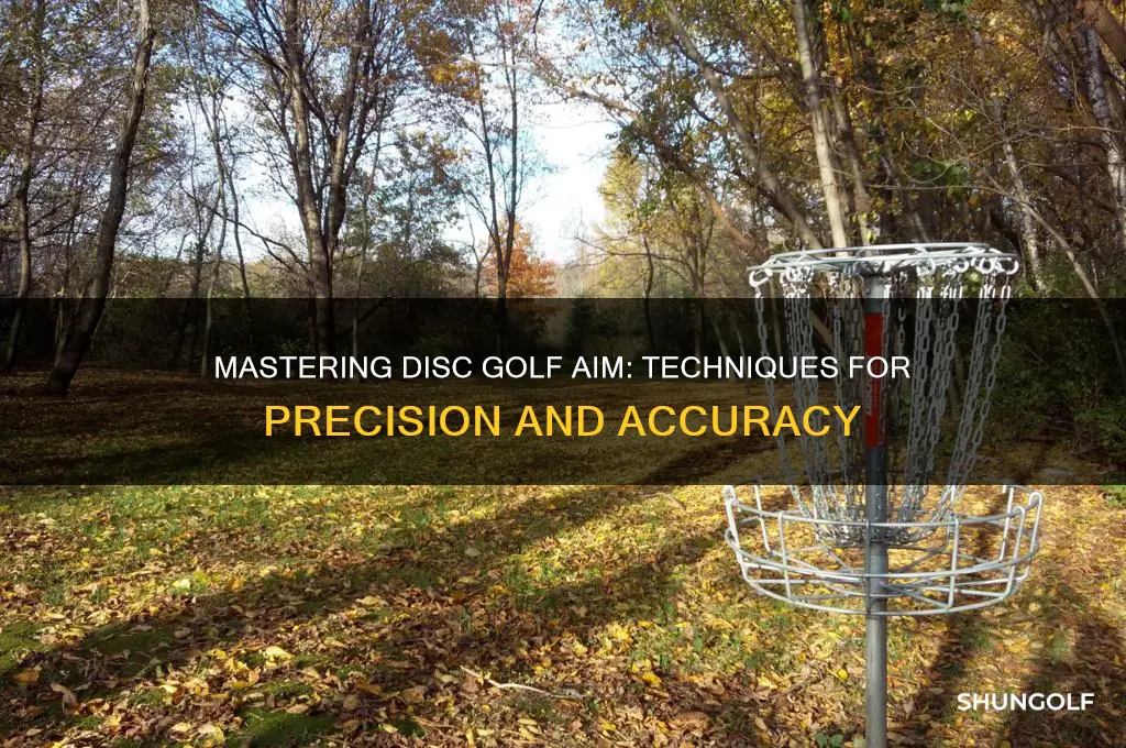 how to aim while playing disc golf