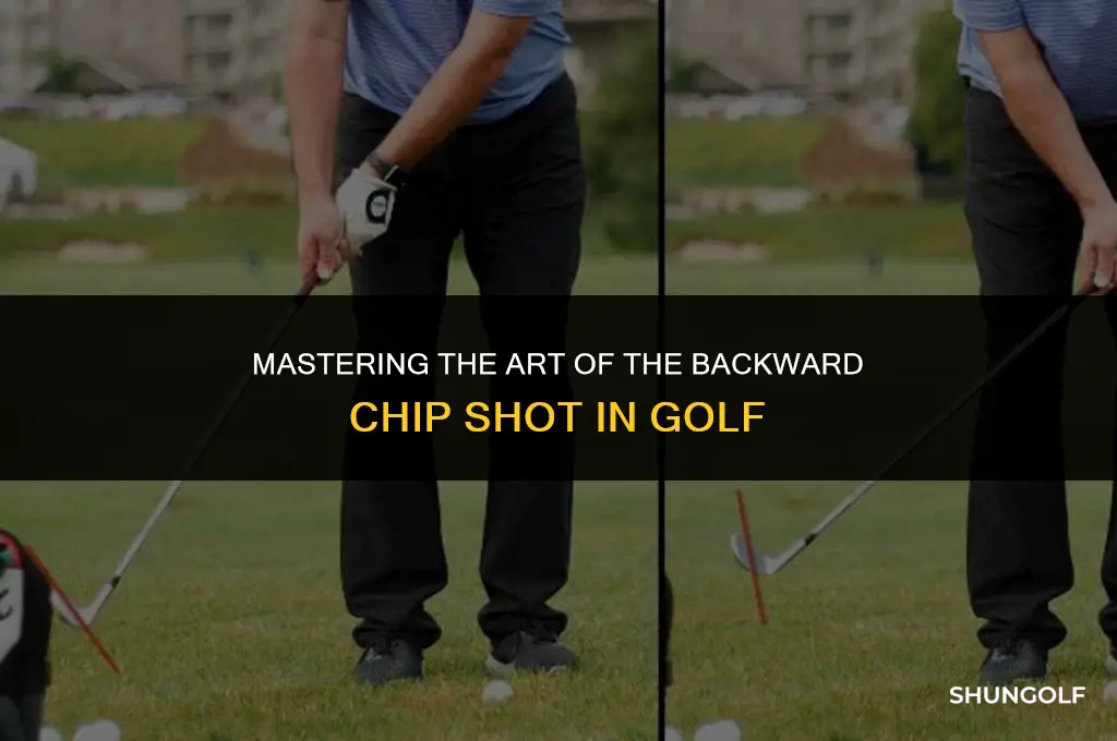 how to backward chip shot in golf