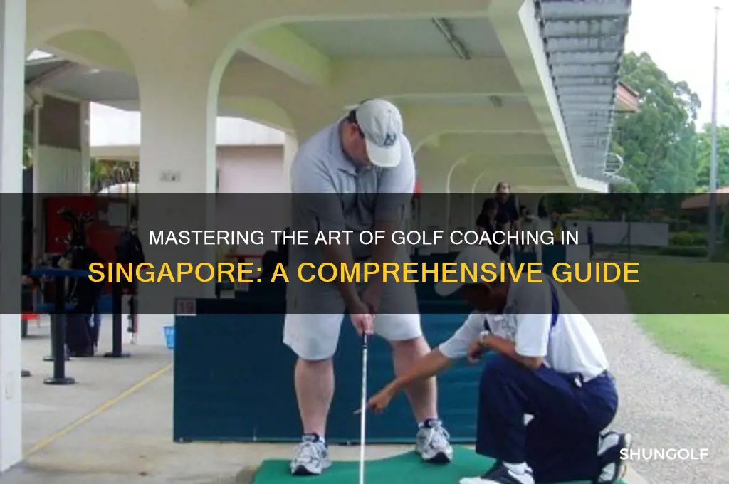 how to be a golf coach in singapore