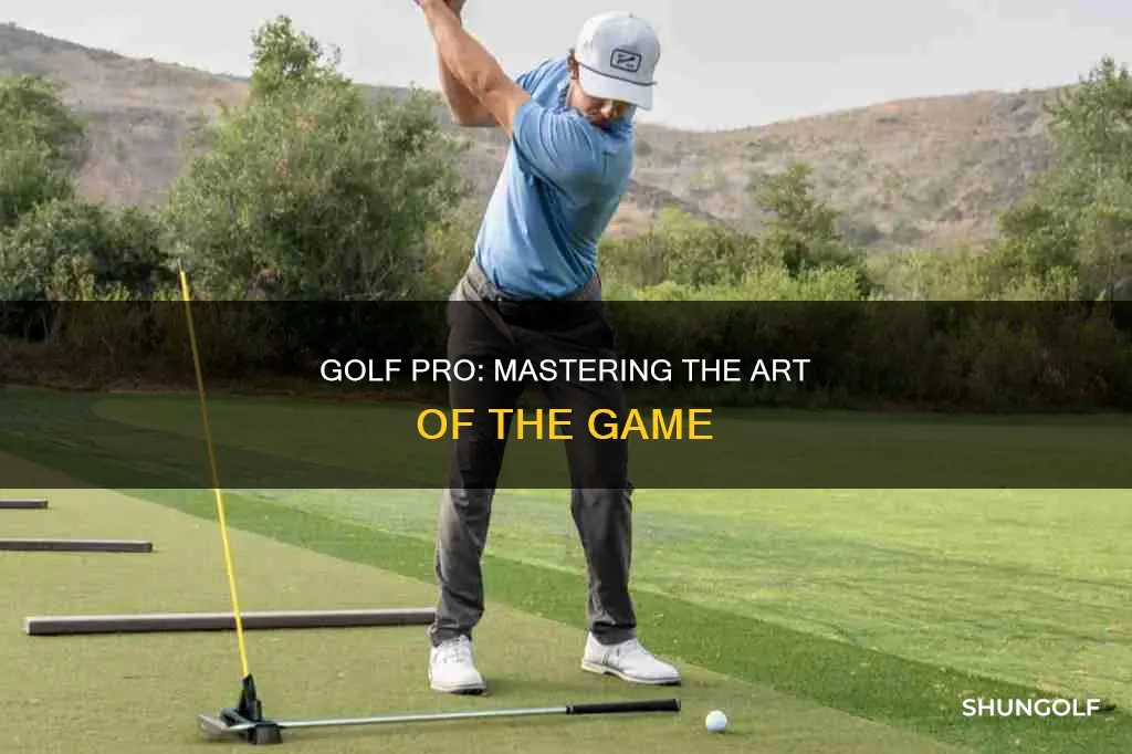 how to be a golf professional
