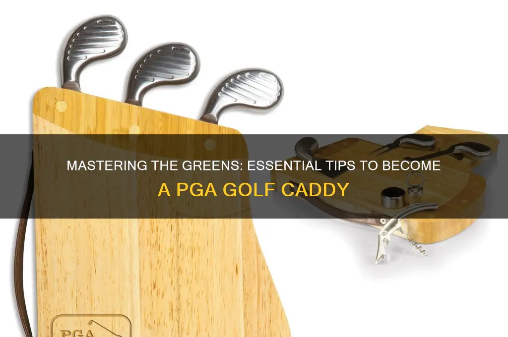 how to be a pga golf caddy