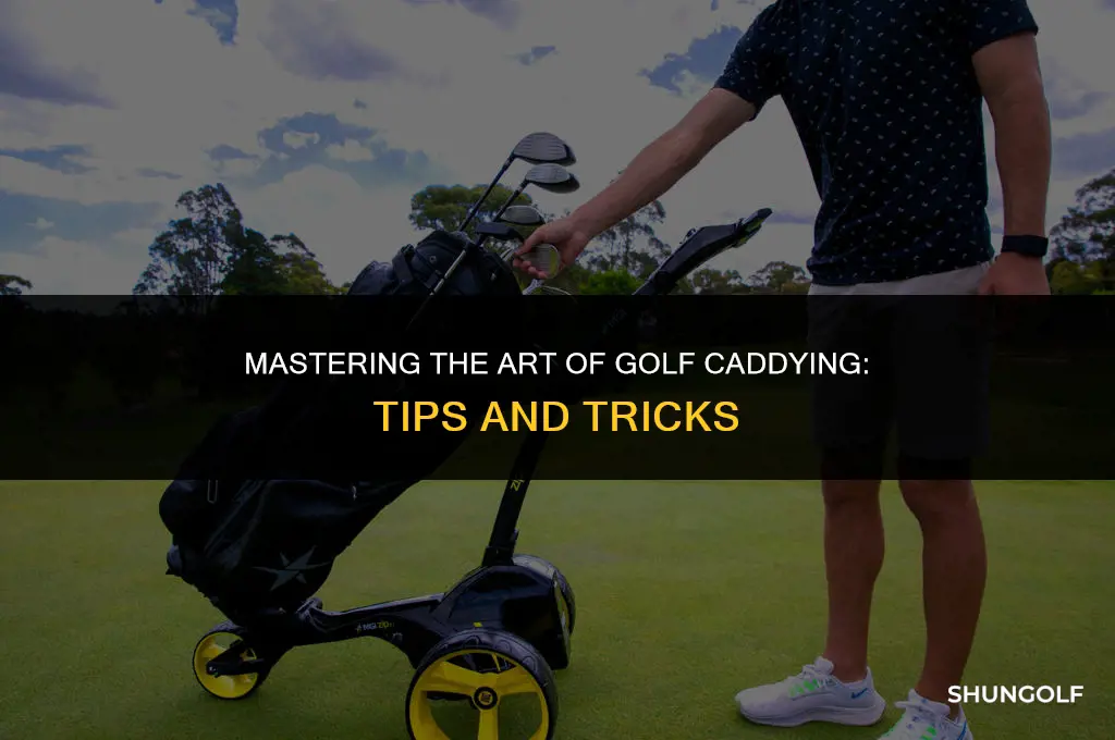 how to be the best golf caddy