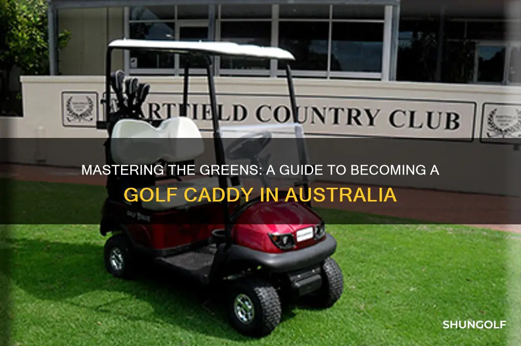 how to become a golf caddy in australia