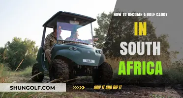 Mastering the Greens: A Guide to Becoming a Golf Caddy in South Africa