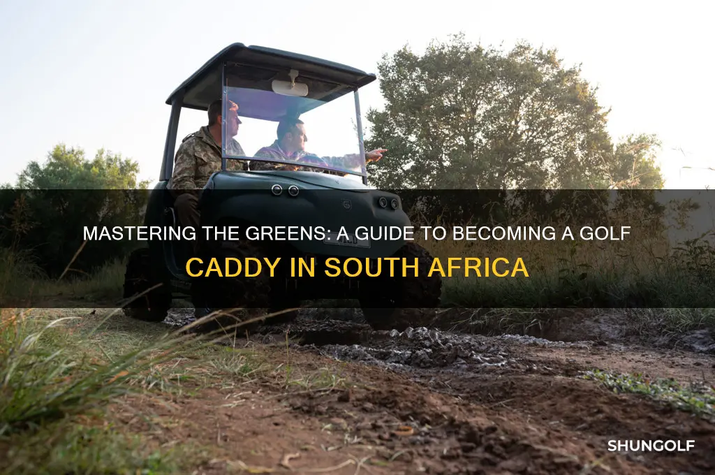 how to become a golf caddy in south africa