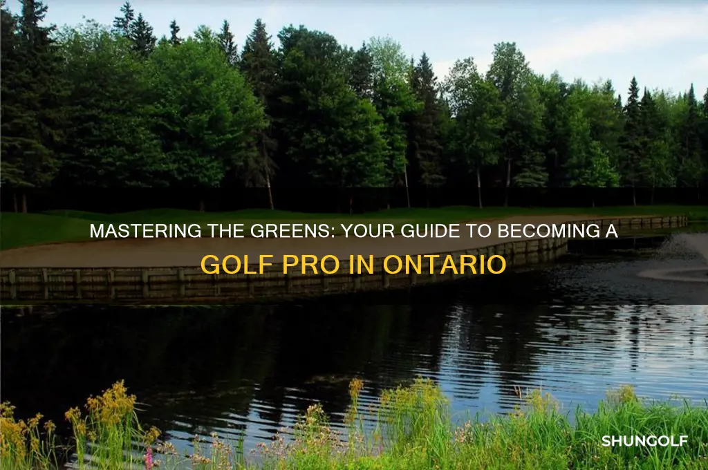 how to become a golf pro in ontario