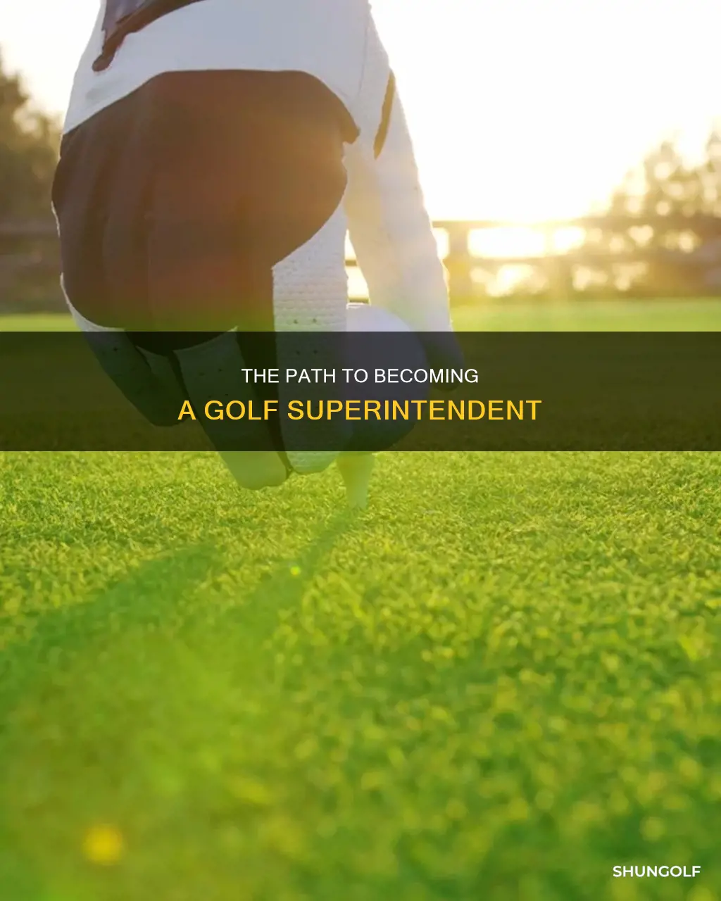 how to become a golf superintendent