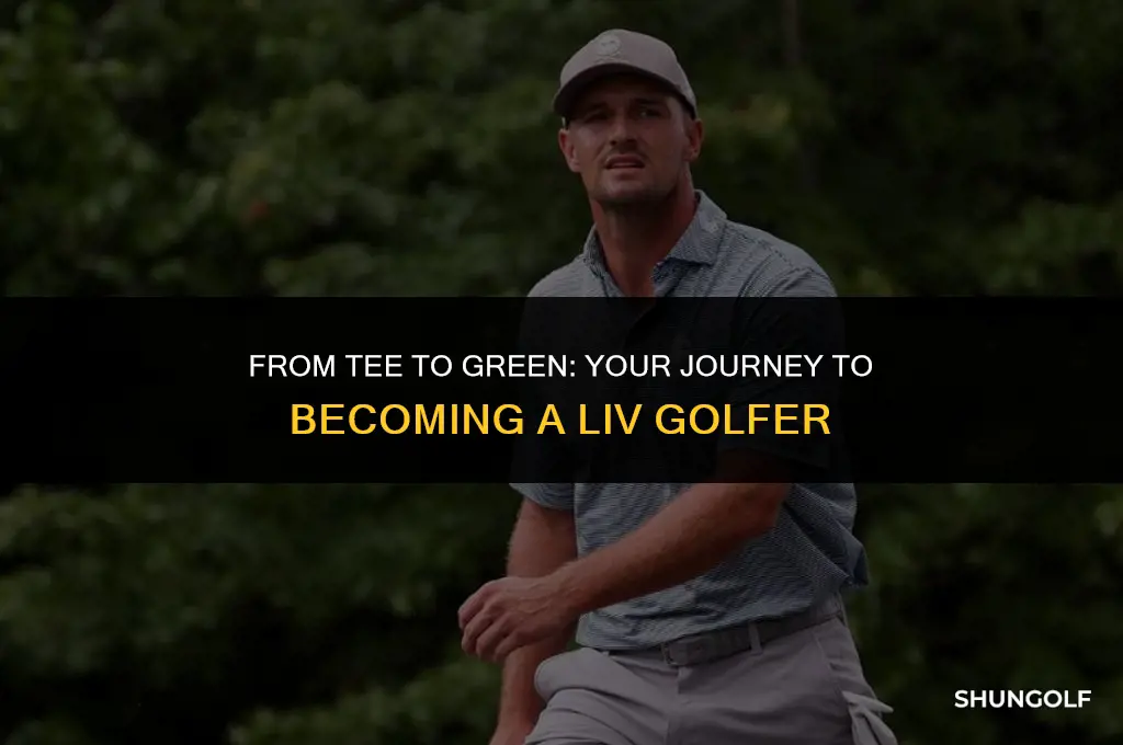 how to become a liv golfer