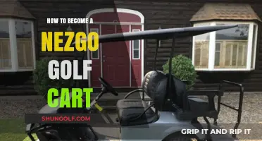 Mastering the Art of Becoming a Nezgo Golf Cart Expert