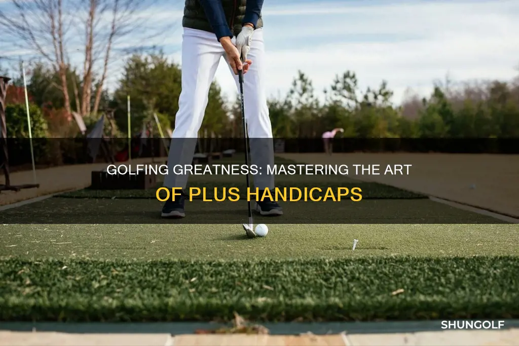 how to become a plus golfer