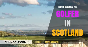 Mastering the Scottish Fairways: Your Guide to Pro Golfing Success
