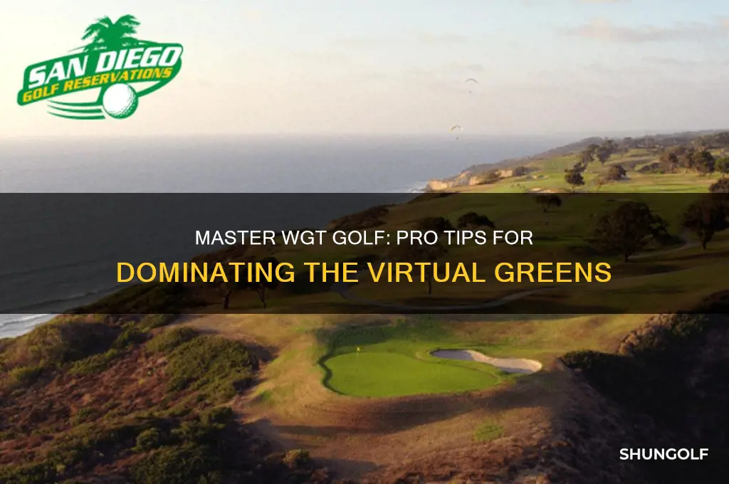 how to become a pro in wgt golf