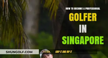 Mastering the Greens: A Guide to Becoming a Pro Golfer in Singapore