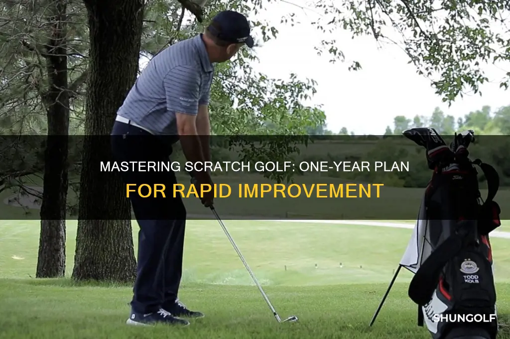 how to become a scratch golfer in one year