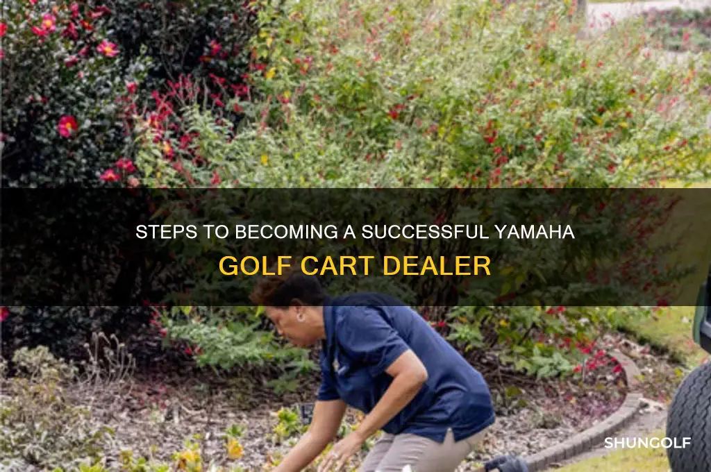 how to become a yamaha golf cart dealer