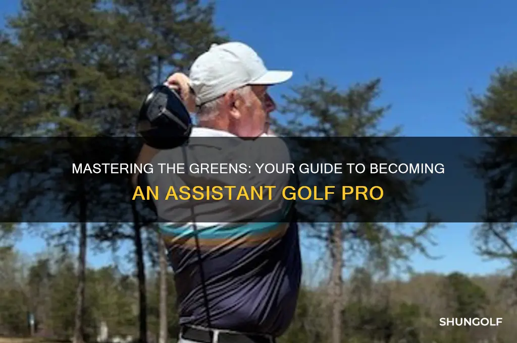 how to become an assistant golf pro