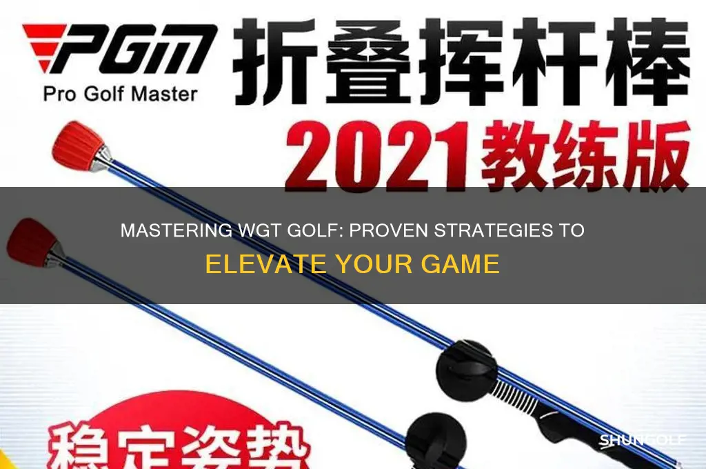 how to become master level in wgt golf