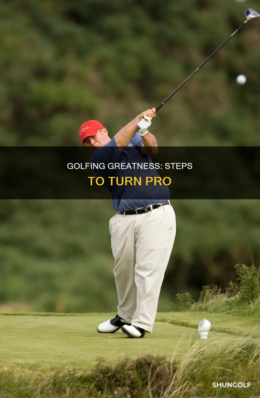 how to become professional golfer