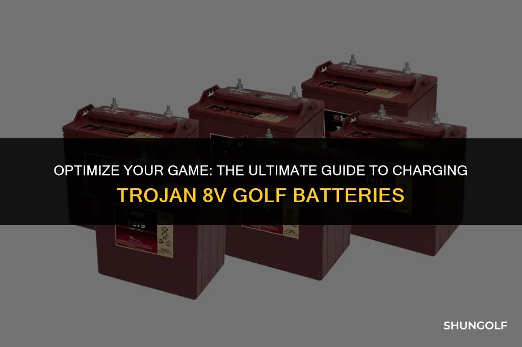 how to best charge trojan 8 v golf batteries