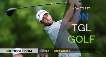 Betting on TGL Golf: A Beginner's Guide