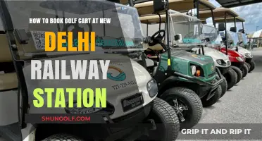 Easy Guide to Booking a Golf Cart at New Delhi Railway Station