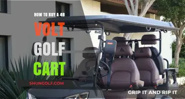 Ultimate Guide to Purchasing Your Ideal 48 Volt Golf Cart