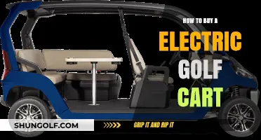 Ultimate Guide to Choosing and Buying Your Electric Golf Cart