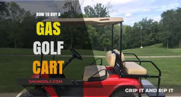 Ultimate Guide to Purchasing the Perfect Gas Golf Cart
