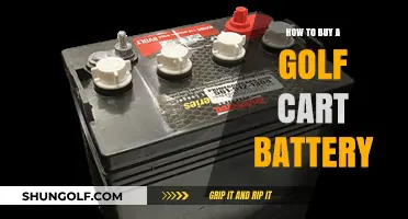 Essential Guide to Choosing and Purchasing the Perfect Golf Cart Battery