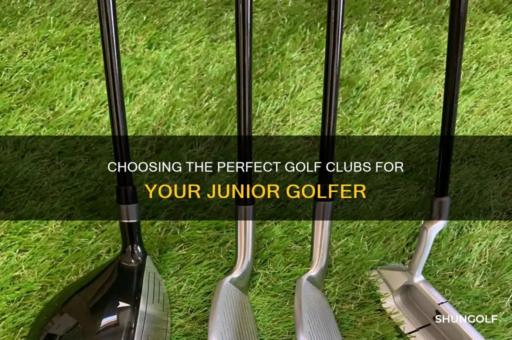 how to buy golf clubs for a junior