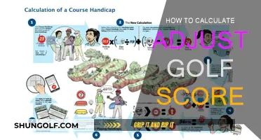 Golf Adjustments: Calculating Your True Score