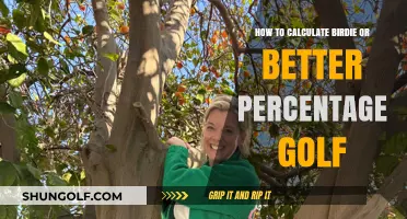Mastering Golf Stats: Calculate Your Birdie or Better Percentage